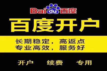 百度SEO推广策略：如何快速提升网站排名？——案例详解