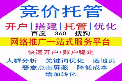 SEM主管实战技巧：案例分享与解读